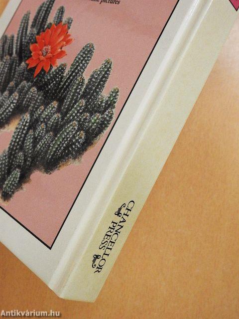 The Illustrated Guide to Cacti