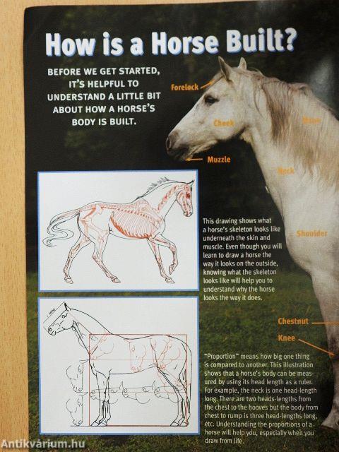 Learn to draw Horses