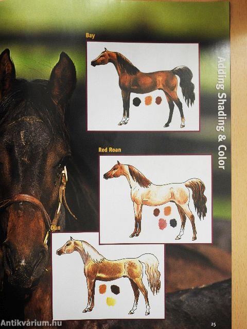 Learn to draw Horses