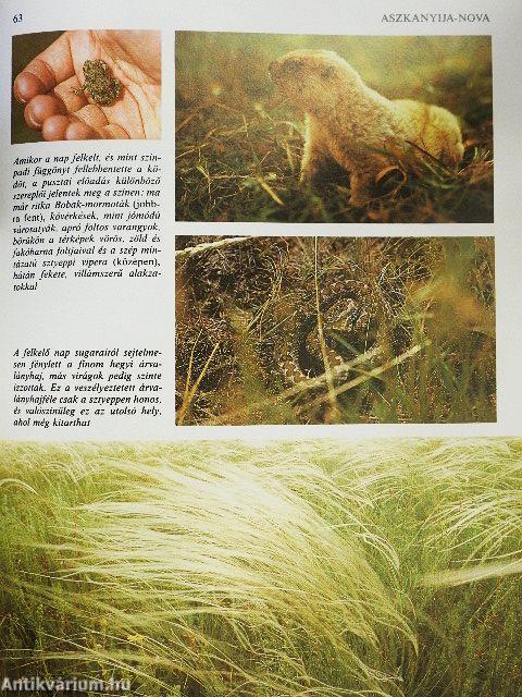 Durrell a Szovjetunióban