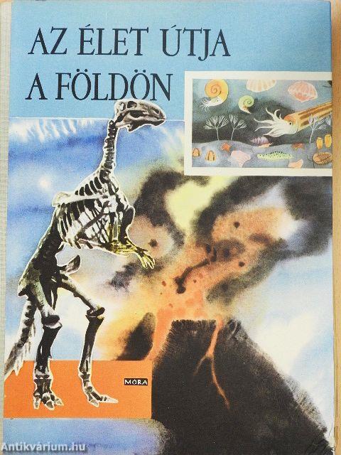 Az élet útja a Földön