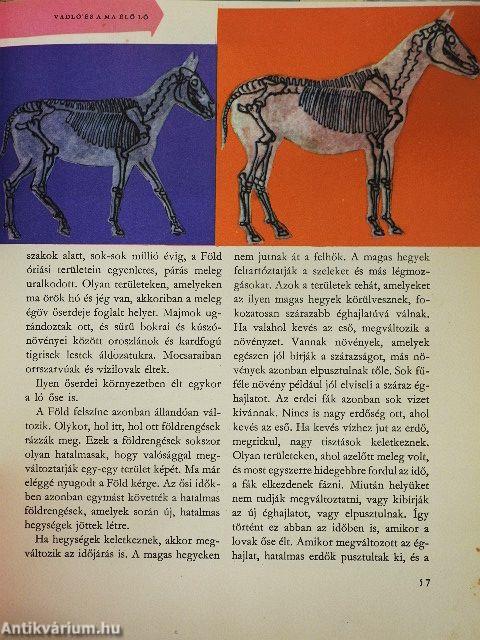 Az élet útja a Földön