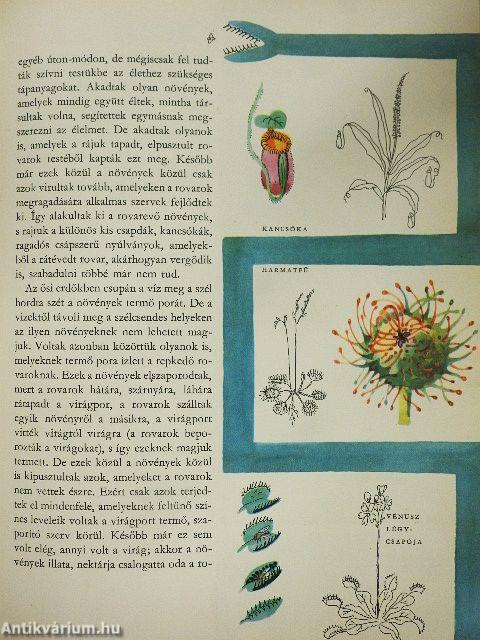 Az élet útja a Földön