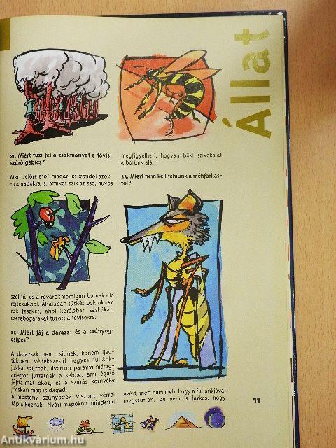 Titkok és rejtélyek