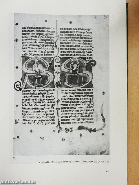 Magyarországi művészet I-II.