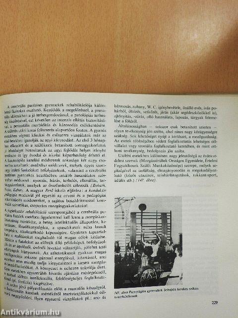 Az ortopédia tankönyve