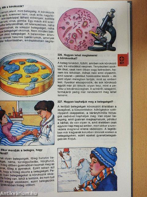 Minden napra egy kérdés