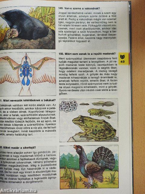 Minden napra egy kérdés