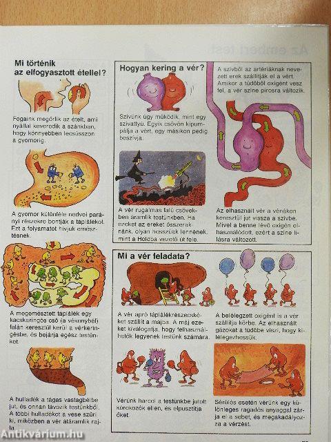 Usborne Enciklopédia gyermekeknek