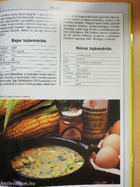99 sajt- és tojásétel 33 színes ételfotóval