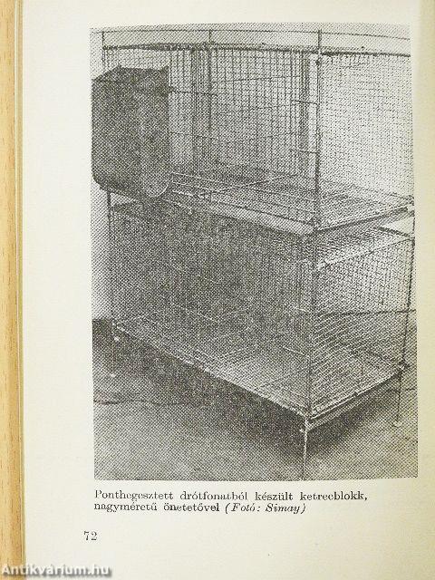Gazdaságos házinyúltenyésztés