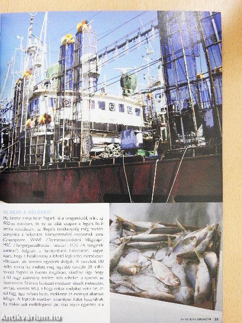 TV Paprika Magazin 2012. augusztus