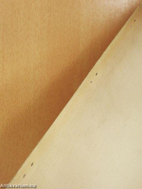 Utmutató az M43 és M47 sor. mozdonyok vezérlési áramköreinek tanulmányozásához