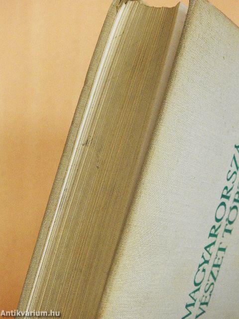 A magyarországi művészet története 1-2.