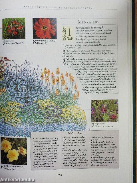 A hétvégi kertész