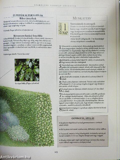 A hétvégi kertész