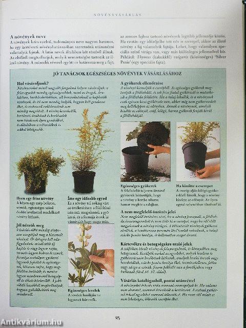 A hétvégi kertész