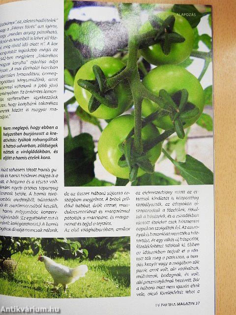 TV Paprika Magazin 2009. június