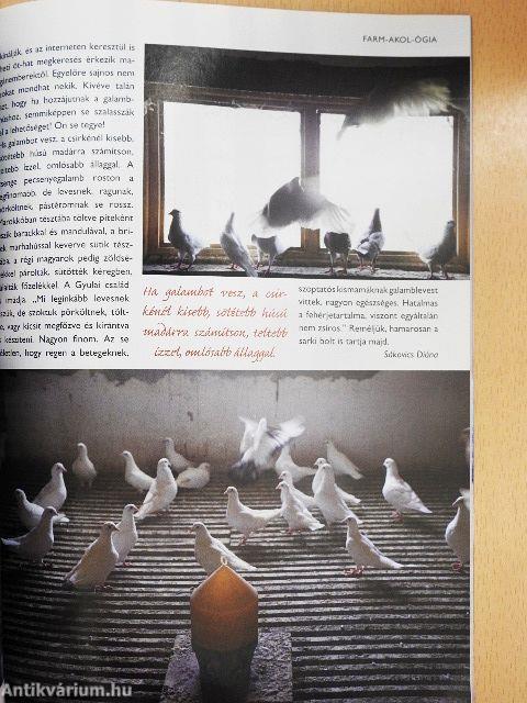 TV Paprika Magazin 2010. szeptember