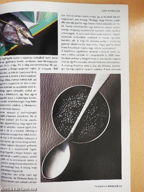 TV Paprika Magazin 2010. január