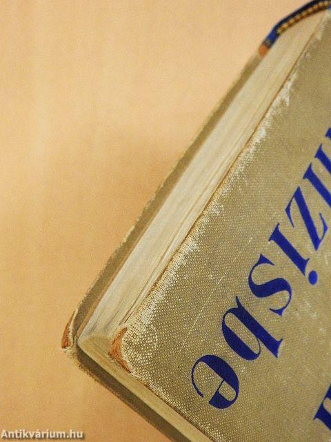 Bevezetés a pszichoanalízisbe