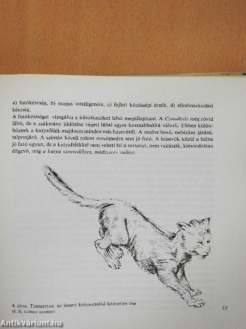 A kutya tenyésztése, tartása, kiképzése