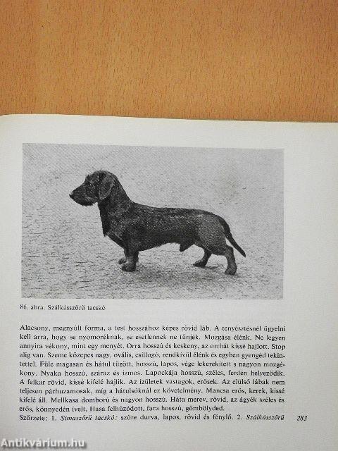 A kutya tenyésztése, tartása, kiképzése