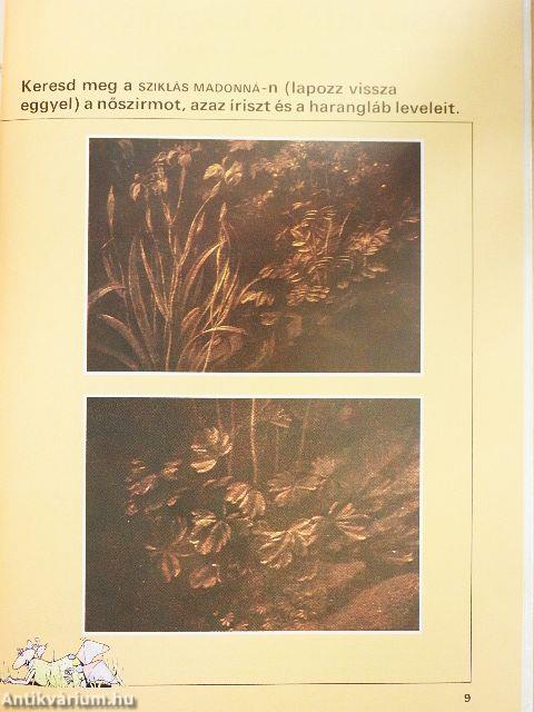 Volt egyszer egy Leonardo da Vinci....