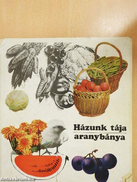 Házunk tája - aranybánya