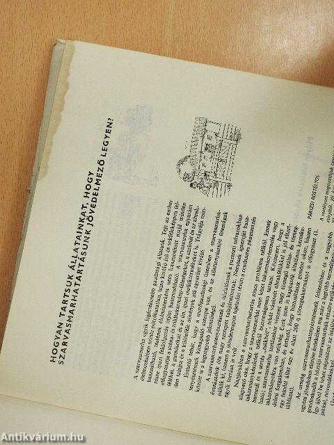 Házunk tája - aranybánya