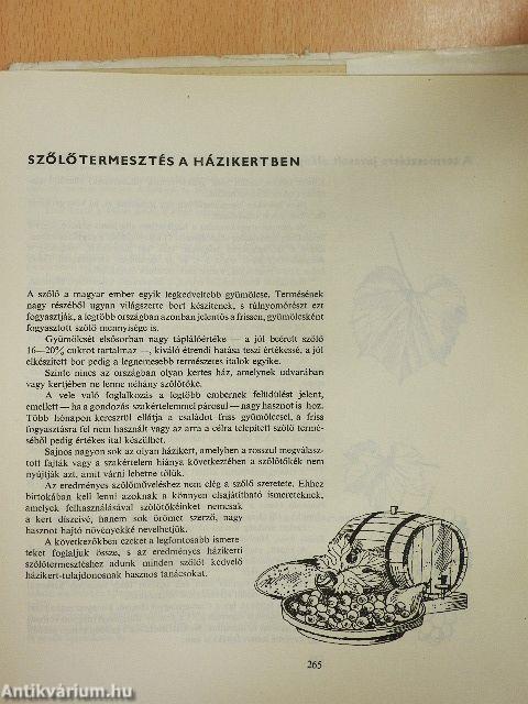 Házunk tája - aranybánya