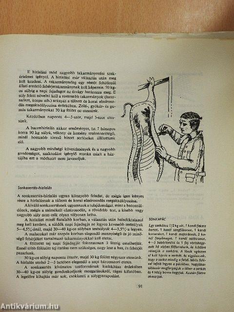 Házunk tája - aranybánya