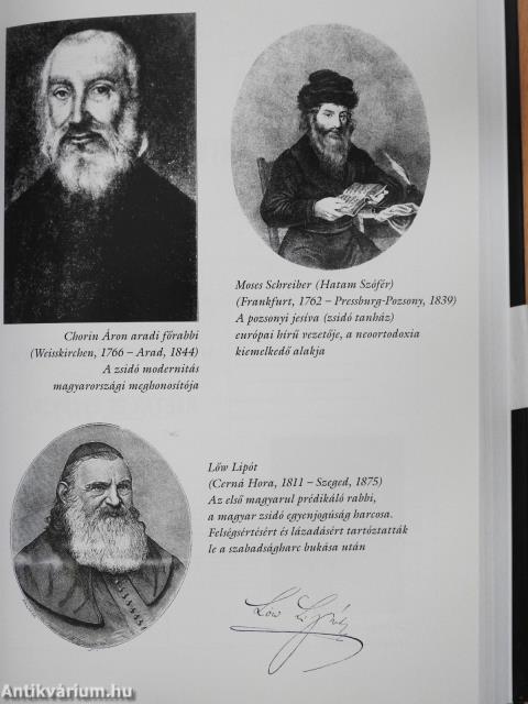 Csalódások kora (dedikált példány)