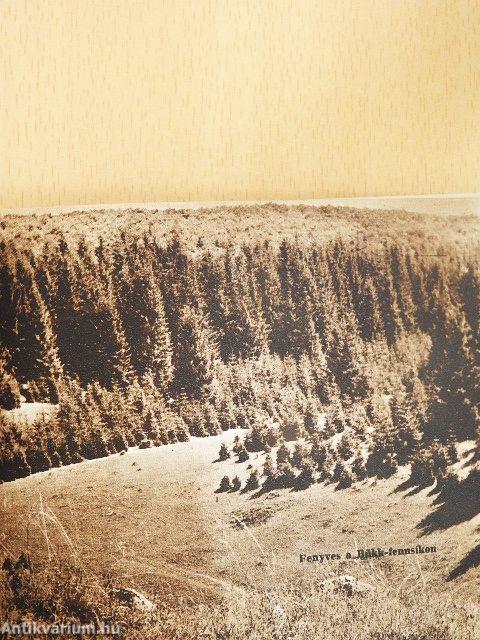 Turistaházak - magyar tájak