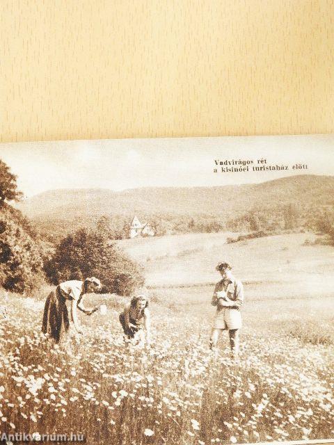 Turistaházak - magyar tájak