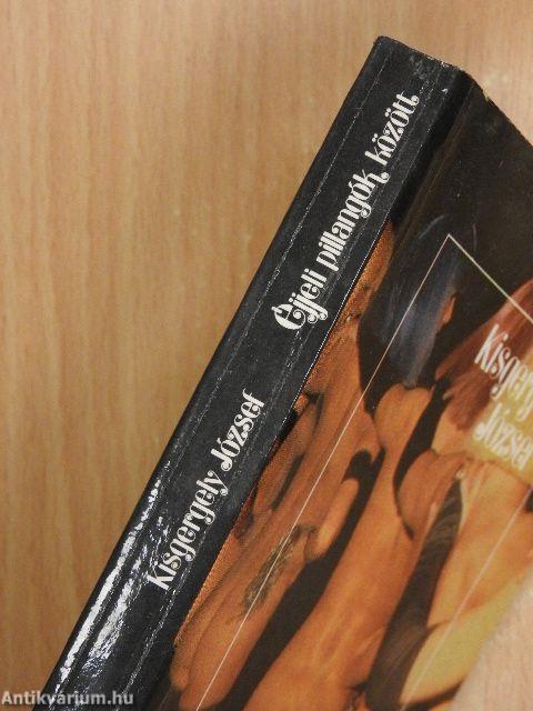 Éjjeli pillangók között