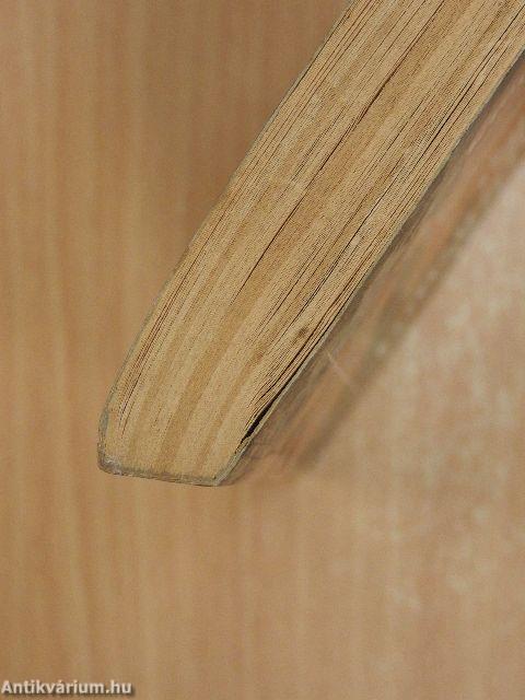 Éjjeli pillangók között