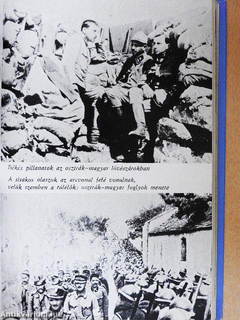 Doberdo, Isonzo, Tirol