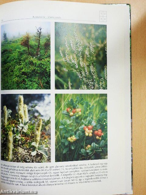 A Kárpát-medence természeti szépségei