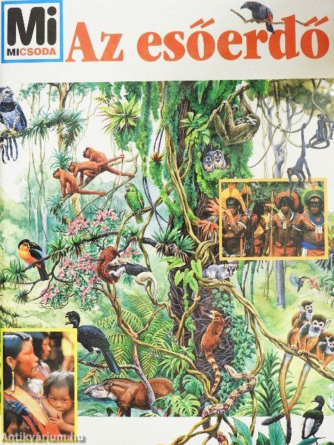 Az esőerdő