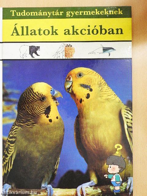 Állatok akcióban