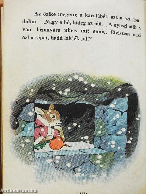 A kiskacsa és barátai