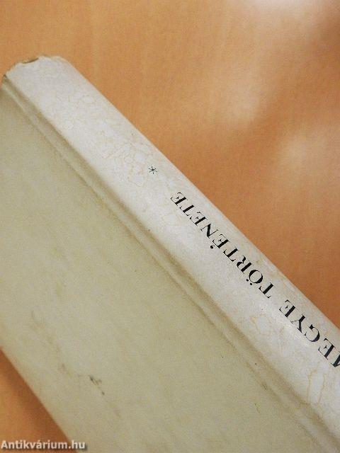 Nógrád megye története I.