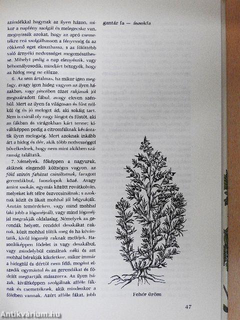 Magyar biokertek a XVII. században