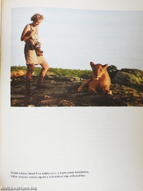 Elza és kölykei