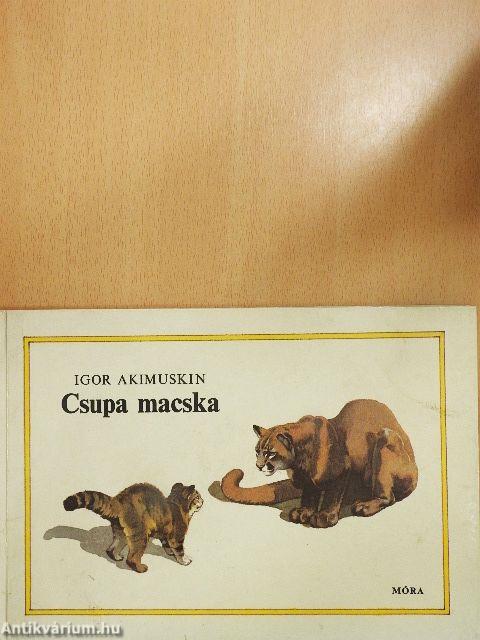Csupa macska