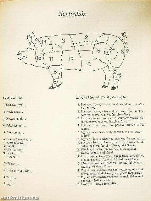 Magyar ételek régen és ma