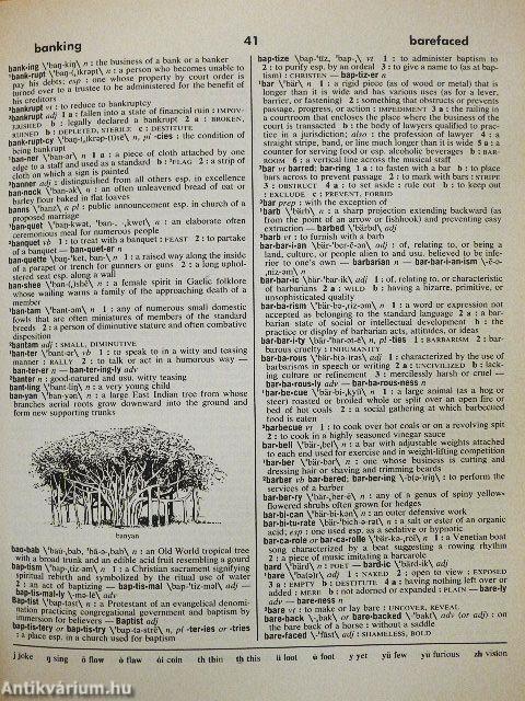 Webster's New Ideal Dictionary