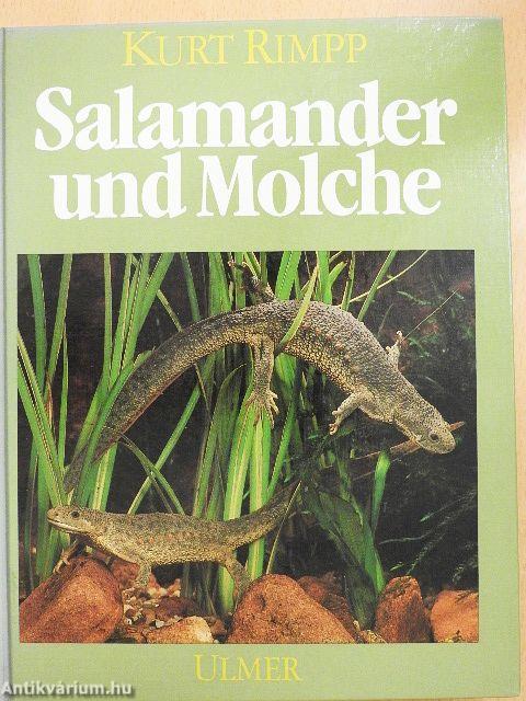 Salamander und Molche