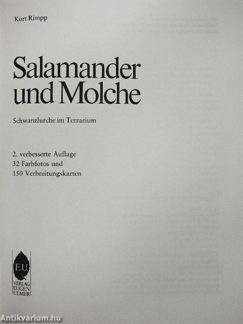 Salamander und Molche